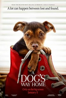 ดูหนังออนไลน์ฟรี A Dog’s Way Home เพื่อนรักผจญภัยสี่ร้อยไมล์ (2019)