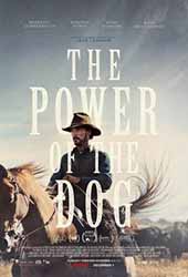 ดูหนังออนไลน์ The Power of the Dog (2021)