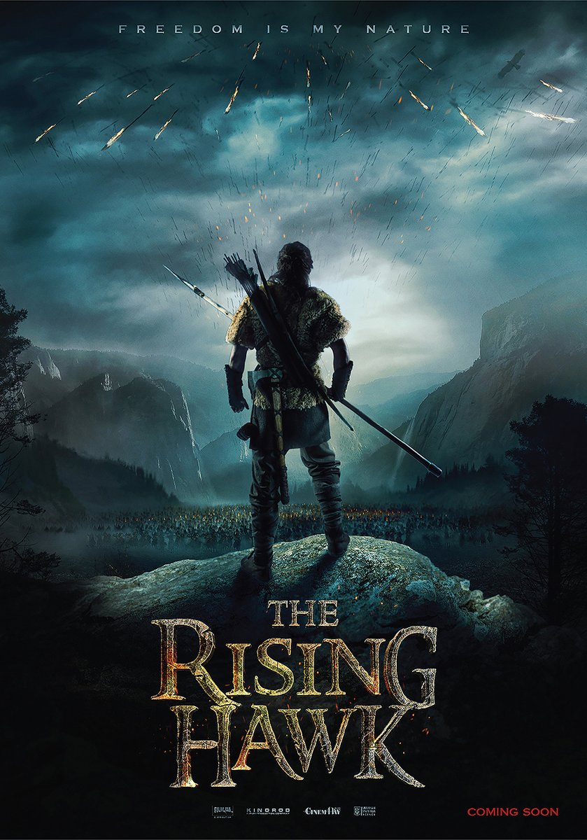 ดูหนังออนไลน์ The Rising Hawk บรรยายไทยแปล 2019