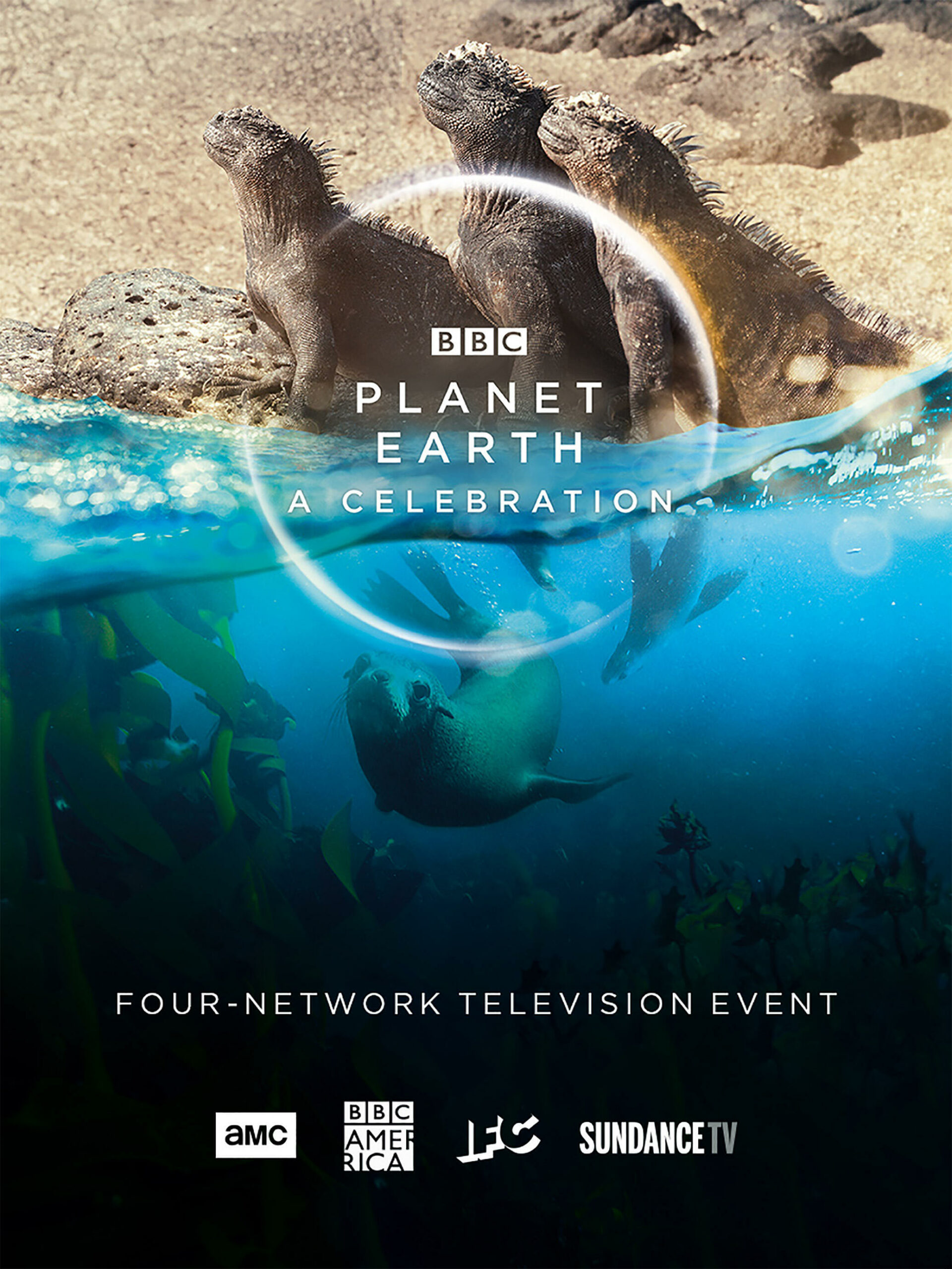 ดูหนังออนไลน์ ดูหนังออนไลน์ 4K Planet Earth A Celebration 2020