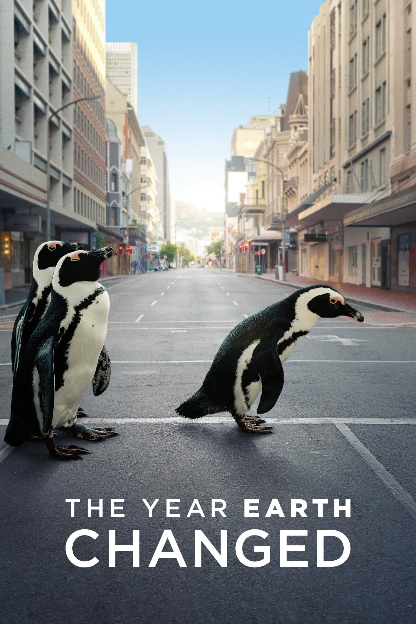 ดูหนังออนไลน์ ดูหนังฟรี The Year Earth Changed 2021