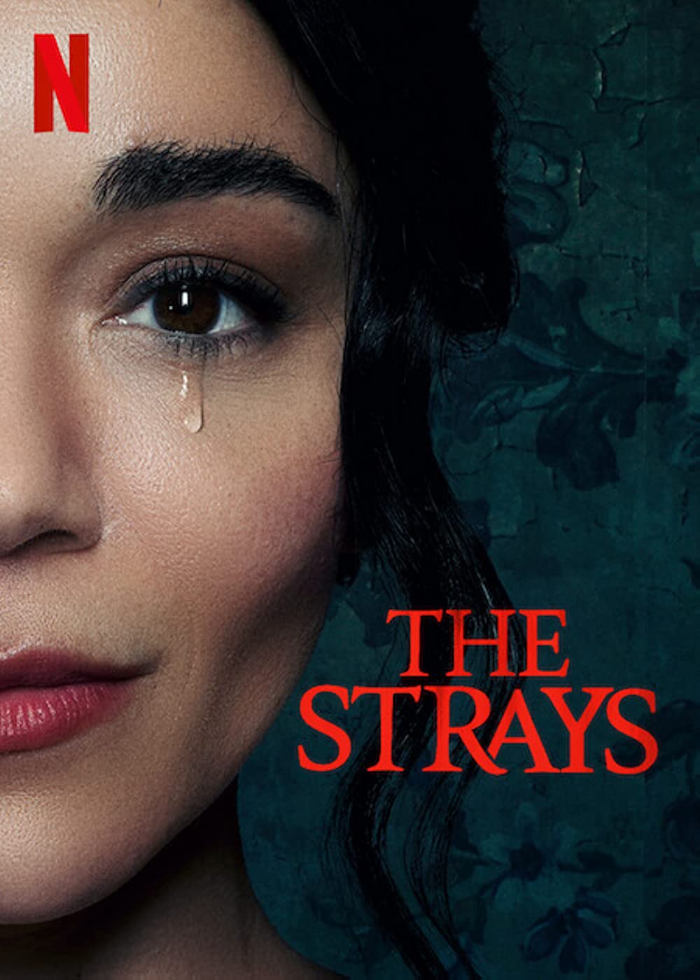 ดูหนังออนไลน์ฟรี ดูหนัง netflix THE STRAYS 2023 คนหลงทาง