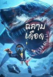 ดูหนังออนไลน์ฟรี ดูหนังฟรี Shark Evil 2023 ฉลามเดือด