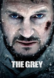 ดูหนังออนไลน์ฟรี ดูหนังฟรี The Grey 2011 ฝ่าฝูงเขี้ยวสยองโลก